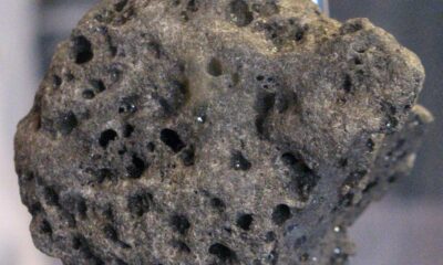 Daily Quiz | On first moon landing