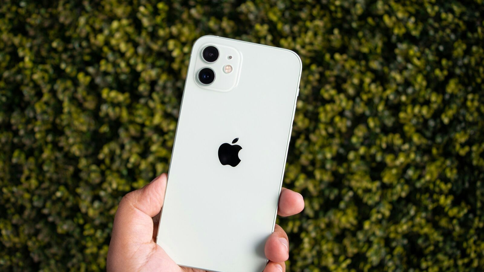 Get iPhone 16 under  ₹20,000? Here's how the deal works | Mint