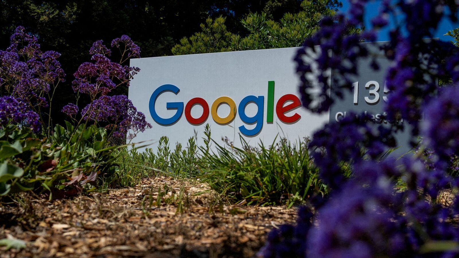 Google ordered to pay over $314 million to Android users in California for ‘stealing’ mobile data | Mint