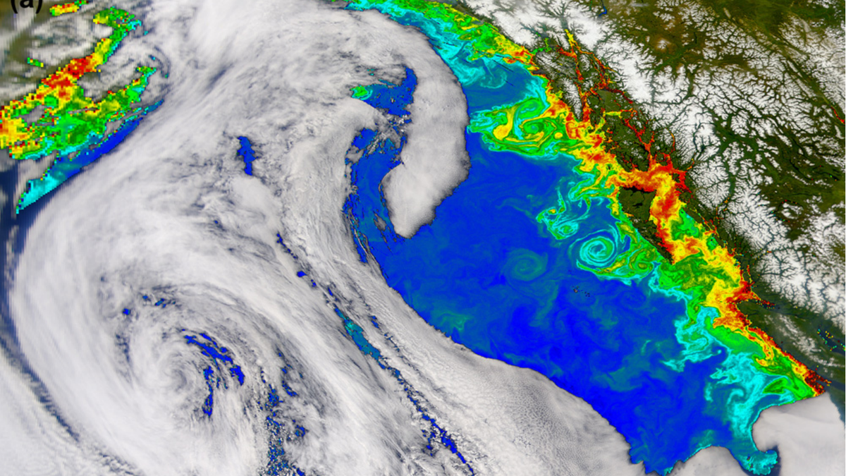 How computers are changing our relationship with the ocean