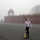 How does air pollution affect the brain?