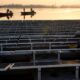 How is China leading the green energy sector?