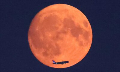 Moon Day: remembering the leap