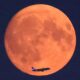 Moon Day: remembering the leap