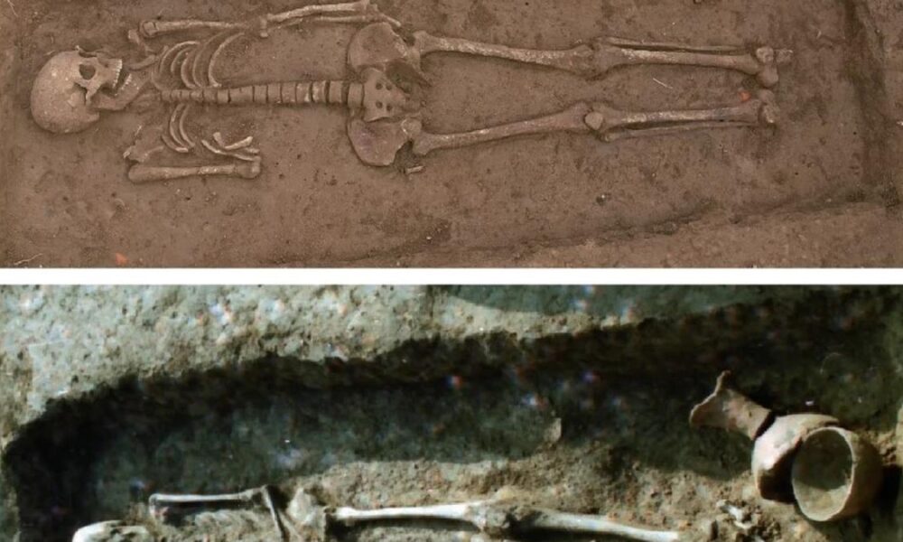 New evidence of a matrilineal society in neolithic China