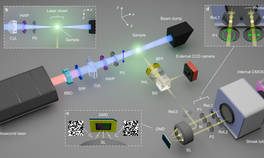 New microscope reveals molecular jostling faster than ever before