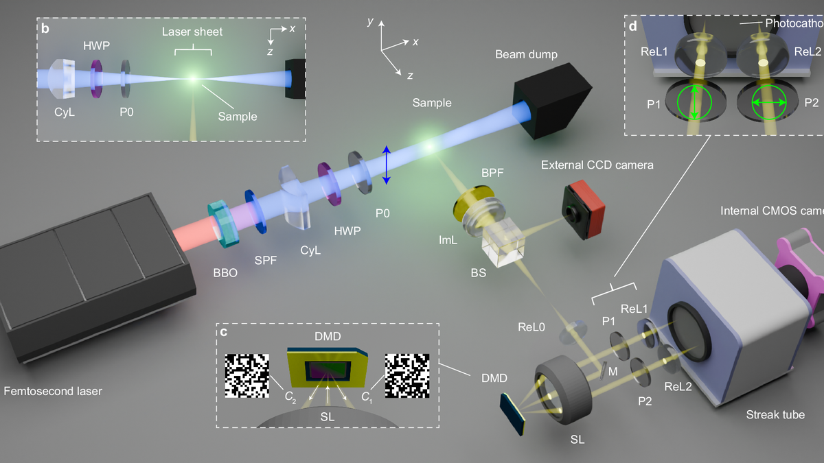 New microscope reveals molecular jostling faster than ever before
