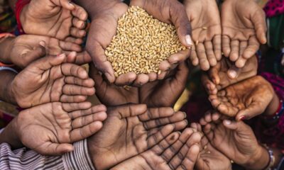 No country with 28% poverty can claim to be ‘fourth most equal in the world’: Congress