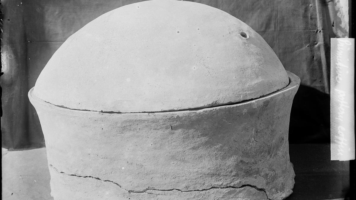 Researchers sequence whole genome of ancient Egyptian for the first time