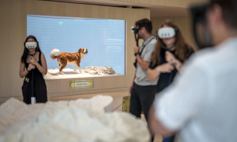 Science for All: Scientists use virtual reality to predict anticipatory immune response