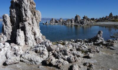 Science retracts NASA arsenic bacteria paper after years of controversy