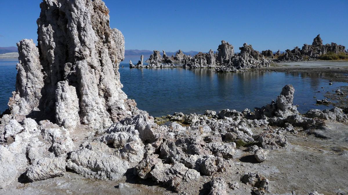 Science retracts NASA arsenic bacteria paper after years of controversy