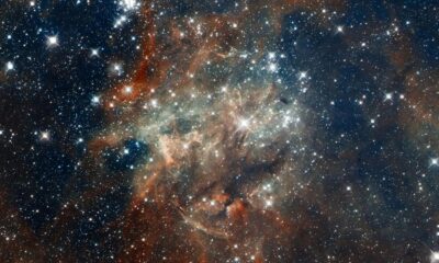 Searching for alien life means asking the right questions first 
