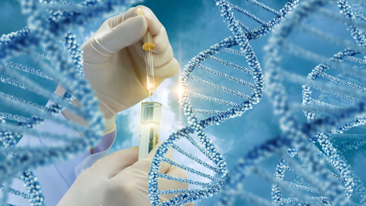 Sinhalese migrated from South India, mixed heavily with Adivasi post-migration, genome study finds