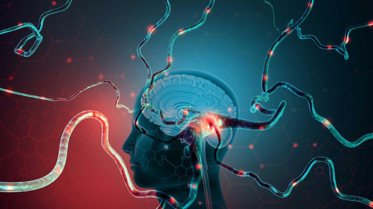 Stimulating brain with weak electric currents may help improve learning maths, study suggests