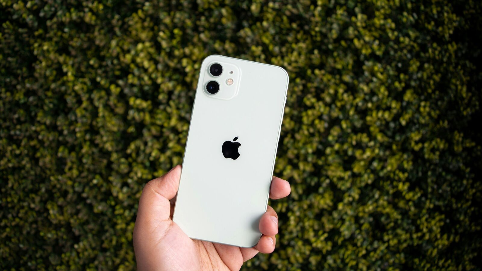 Vivo leads in volume, iPhone 16 in shipments as India’s smartphone market recovers in Q2 2025: Counterpoint report | Mint