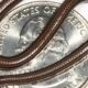 World’s smallest known snake makes big comeback