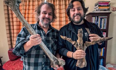 ‘Lord of the Rings’ director backs idea to revive New Zealand’s moa