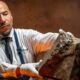 Auction of world's largest Mars meteorite sparks ownership debate