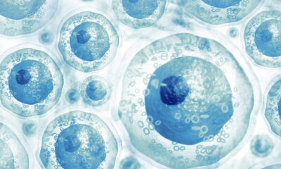 CCMB’s seminal work on programmed cell revival offers hope for regenerative medicine