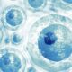 CCMB’s seminal work on programmed cell revival offers hope for regenerative medicine