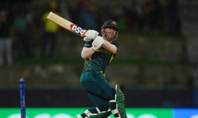 David Warner overtakes Virat Kohli, becomes fifth-highest run-getter in T20 cricket