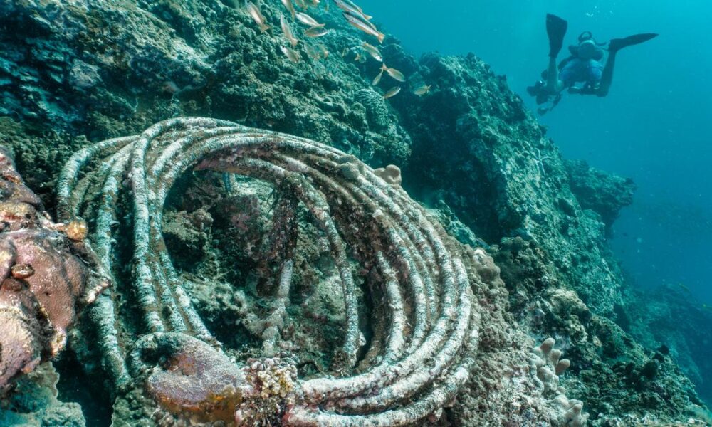 Fishing gear a major source of ‘microplastic’ contamination along Indian coasts