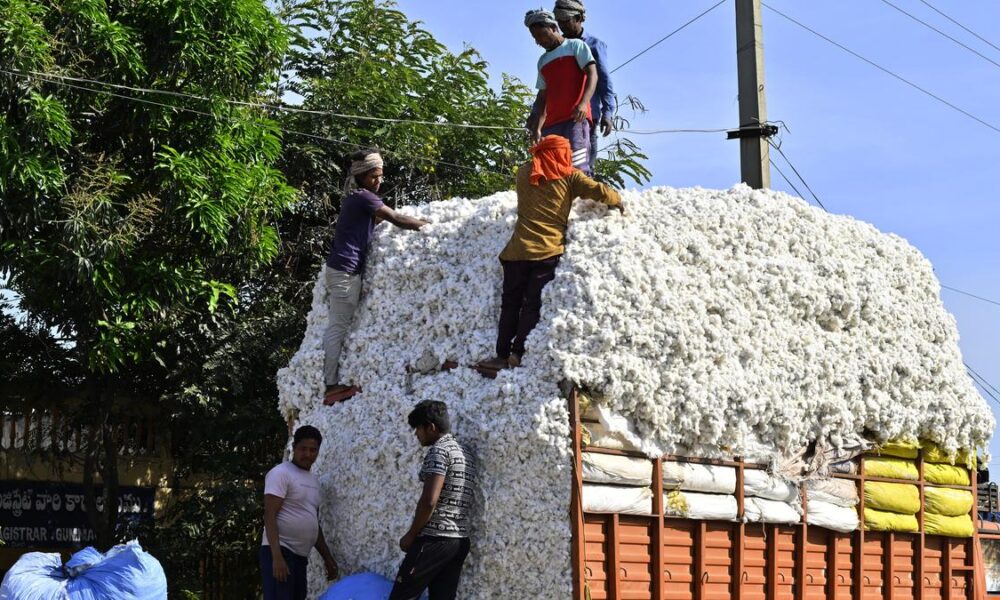 Government extends duty-free imports of cotton by three months till December 31