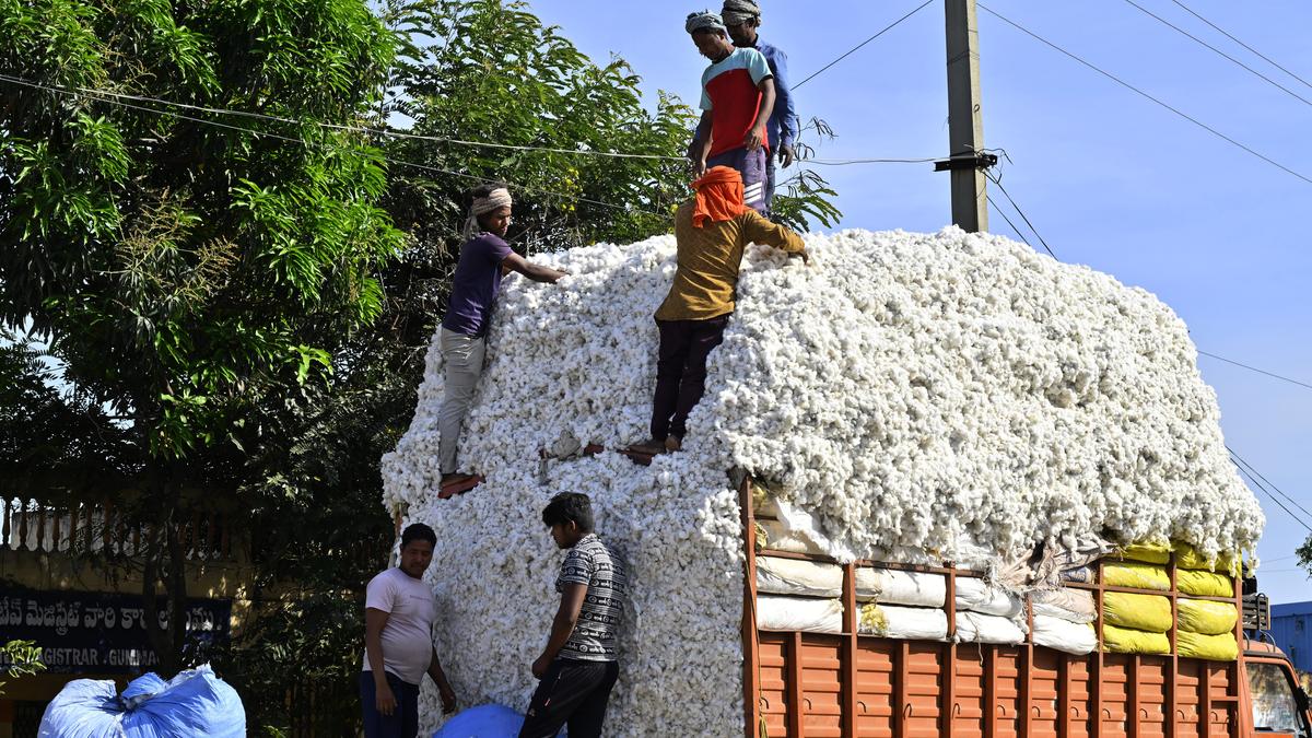 Government extends duty-free imports of cotton by three months till December 31