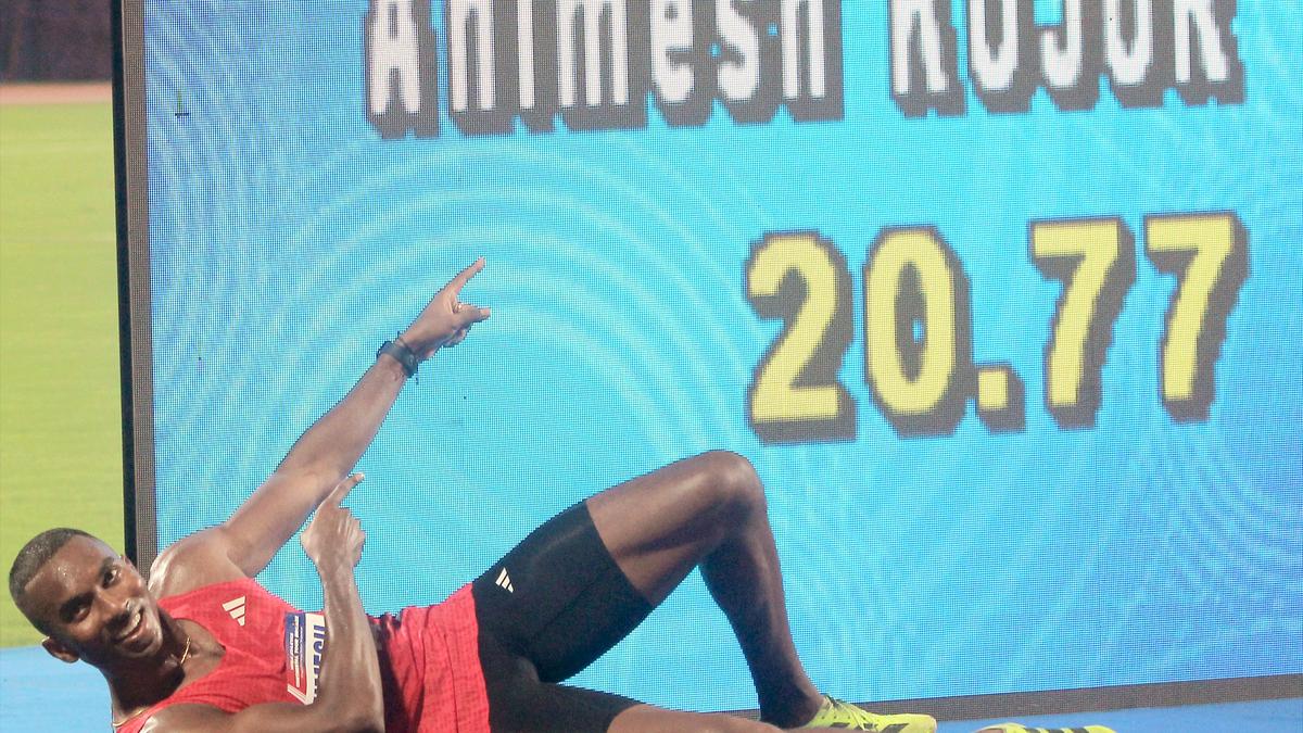 I have learnt to handle big back-to-back events: Animesh