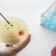 IIT Bombay researchers use microbes to unlock nature’s hidden rules  