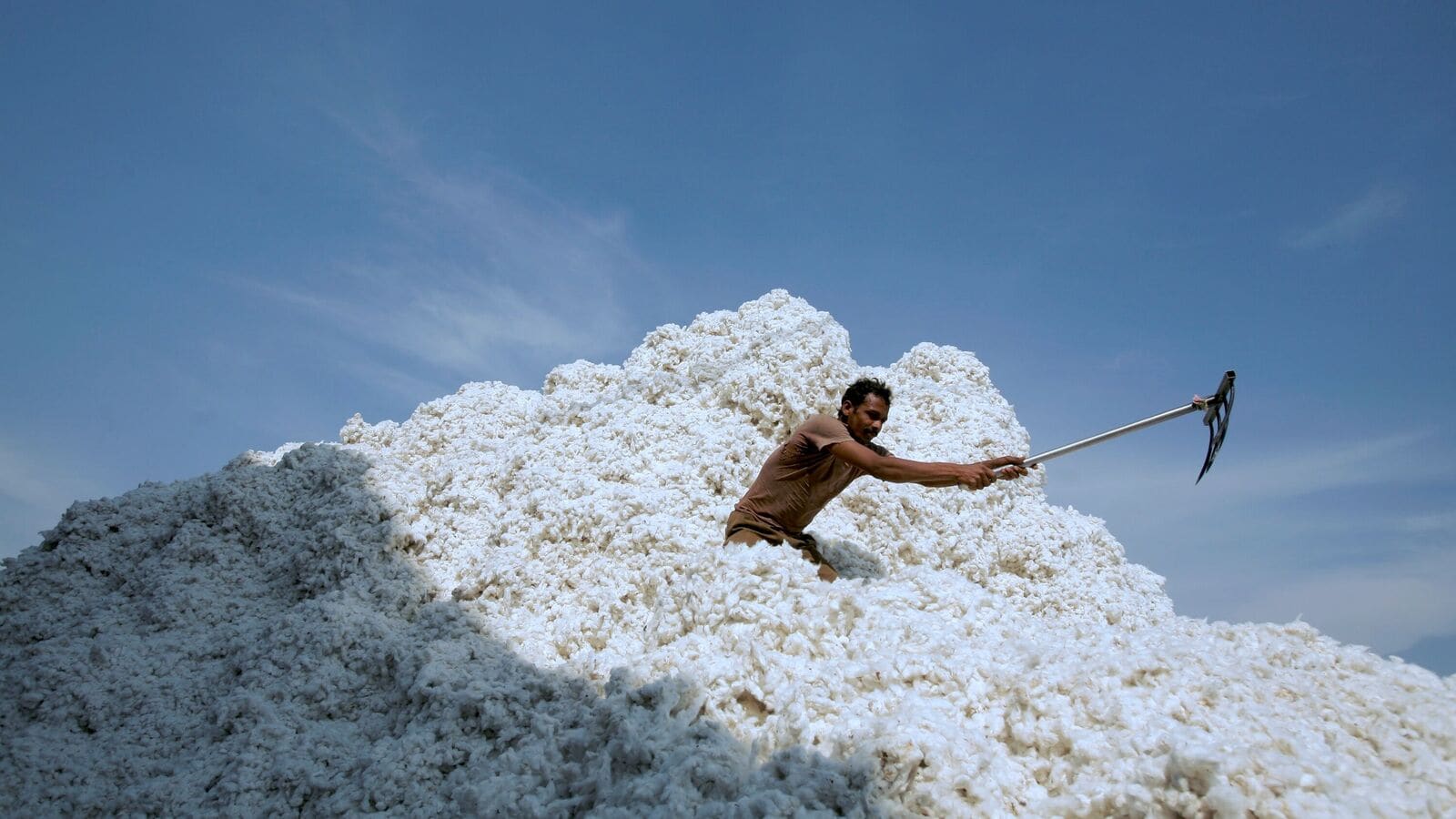 India blinks, removes duty on cotton imports in trade thaw with US | Mint