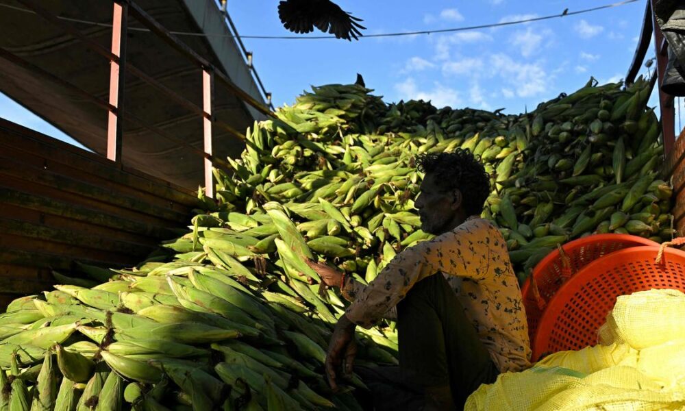 Is the Indian economy perfectly balanced?