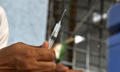 Landmark study offers new insights into what protects against dengue
