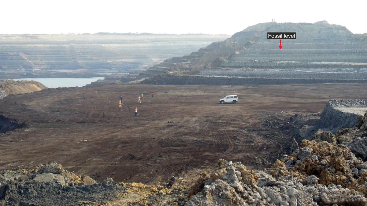 Like bronze idols, India’s dino egg fossils risk being sold abroad