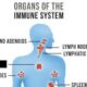 Science Quiz: On the immune system