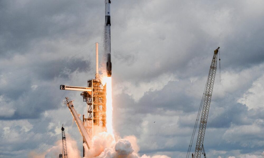 Seeds of seabuckthorn, Himalayan buckwheat part of experiment on ISS