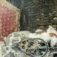 Why has the import duty on cotton been suspended? | Explained