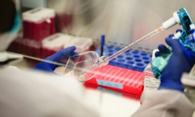 ‘Defect to win’: science is set to be overwhelmed by fraud papers