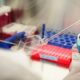‘Defect to win’: science is set to be overwhelmed by fraud papers