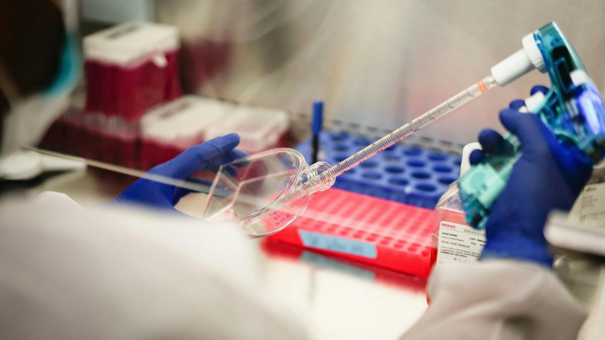 ‘Defect to win’: science is set to be overwhelmed by fraud papers