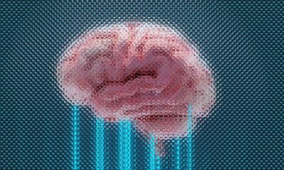 Could AI chatbots become conscious?
