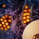 Crosstalk: waning immunity against Japanese encephalitis worsens dengue