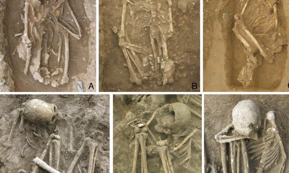 Dawn of artificial mummification pushed back 5,000 years