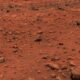 Does Mars have life?