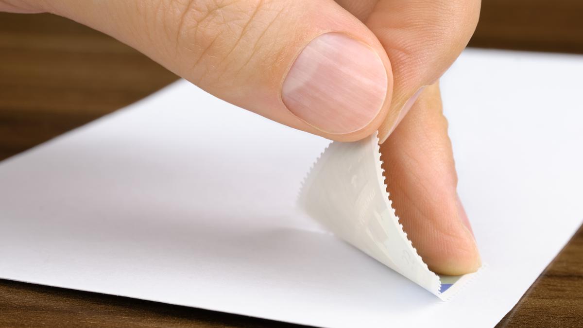 How does glue work: the physics of what makes glue so sticky