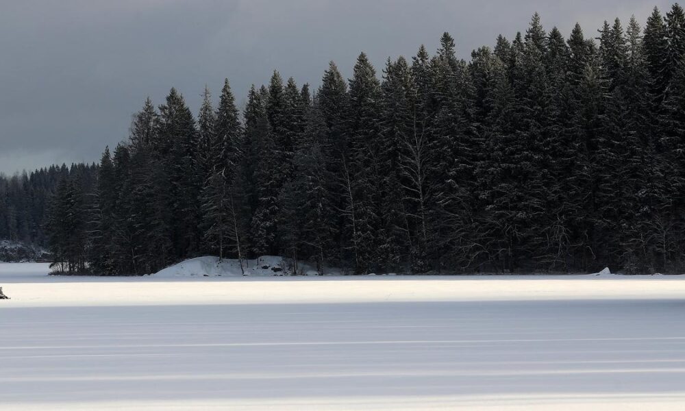 In Nordic dispute over EU forest targets, echoes of Greece’s crisis