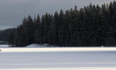 In Nordic dispute over EU forest targets, echoes of Greece’s crisis