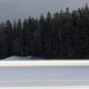 In Nordic dispute over EU forest targets, echoes of Greece’s crisis