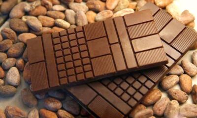 Science for All: Chocolate flavour is affected by microbes, scientists find